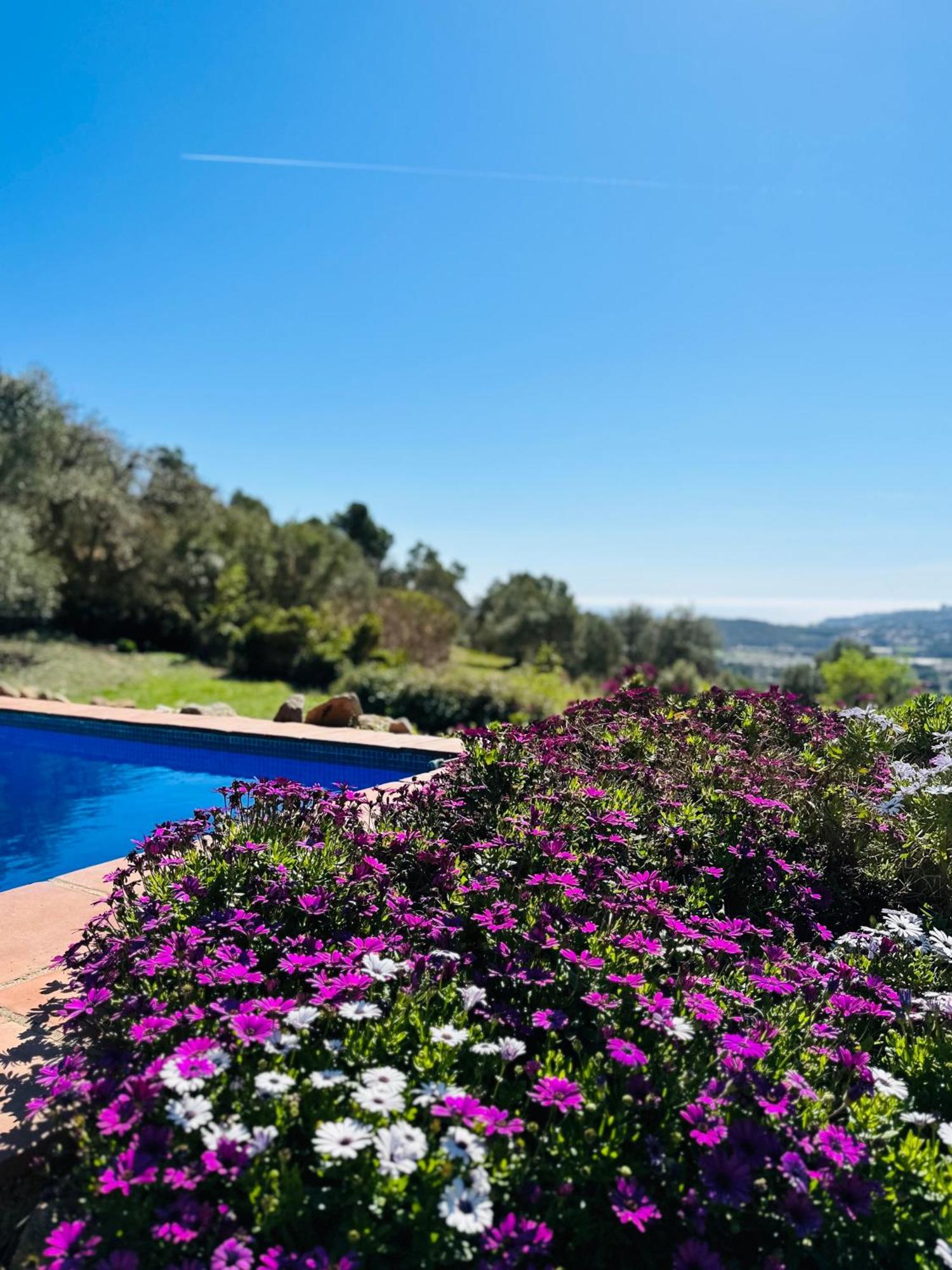 B&B La Vista Brava Platja d'Aro Exterior foto