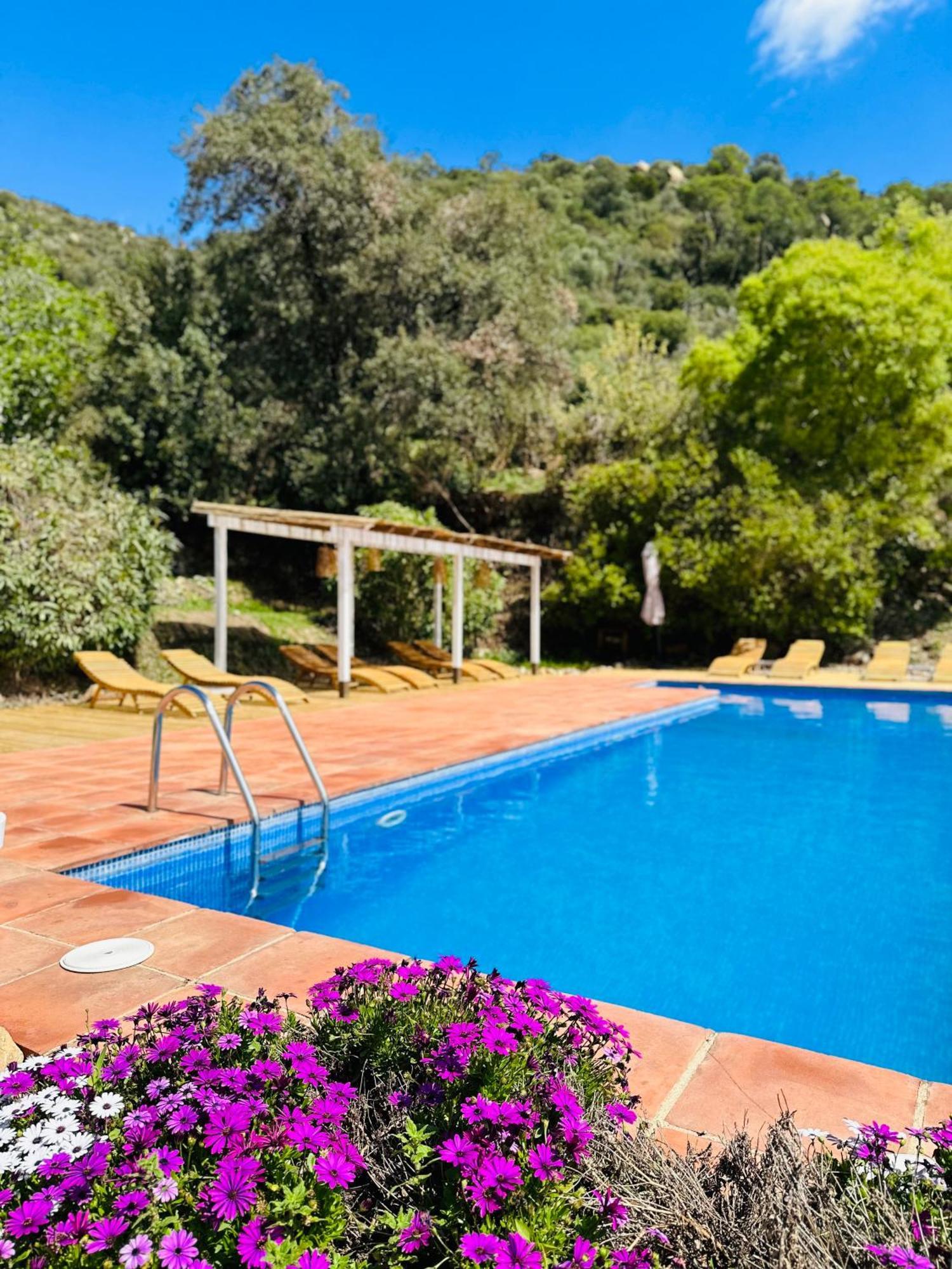 B&B La Vista Brava Platja d'Aro Exterior foto